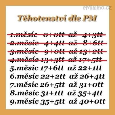 5.měsíc :)