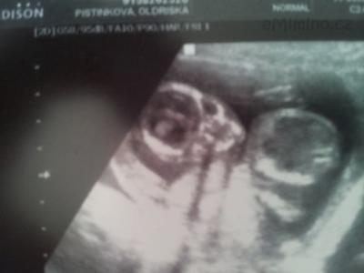 22.5. 15tt 13cm 110g.jpg