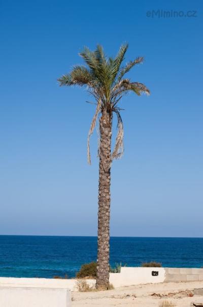 DSC_2612.JPG