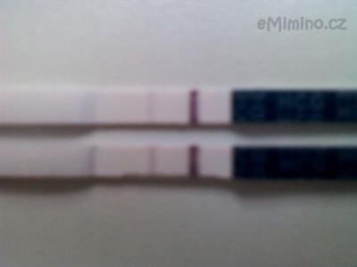 TT 12_5_2012.jpg