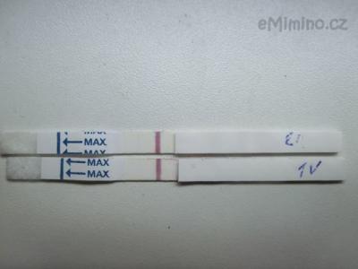 CIMG2486.jpg