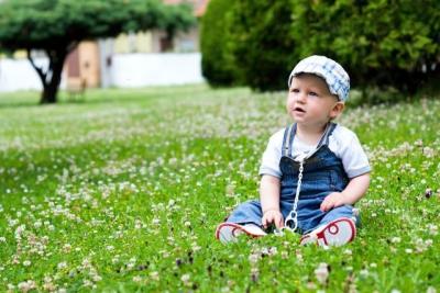 IMG_2381njo.jpg