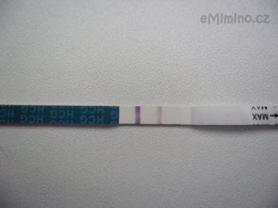 SAM_3092.JPG