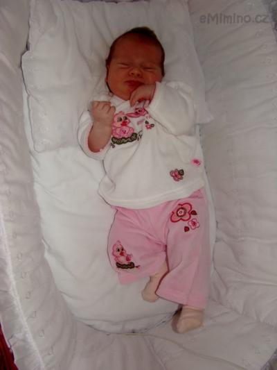 DSC02010.JPG