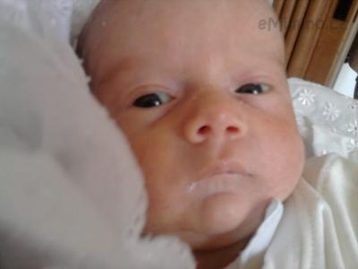 Adámek (2).jpg
