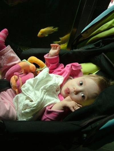 DSCF2955.JPG