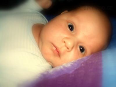 DSCF1520.JPG