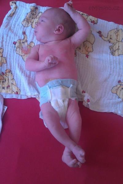 2012-04-27 11.36.56.jpg