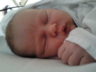 2012-08-07 19.52.07.jpg