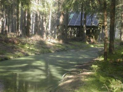 Trošku větší krmelec s bažinou