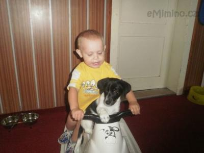 P8090144.JPG