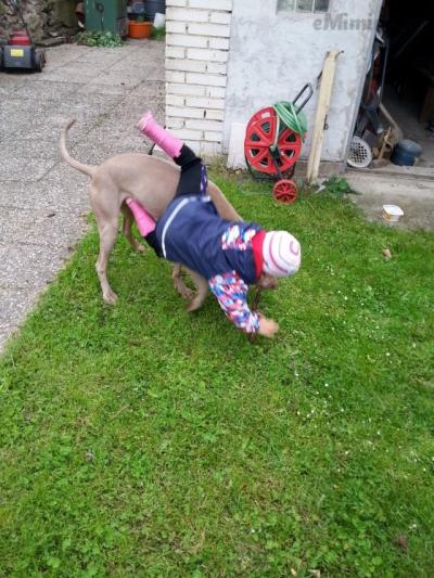 20140517_125440x.jpg