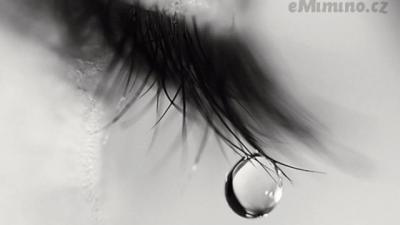 slza_201304091348172.jpg
