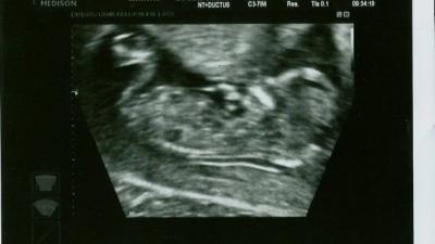 Scan.jpg