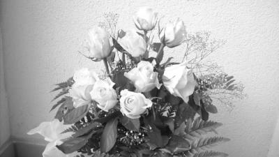 duben2010  (234).JPG