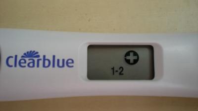 test 014.jpg