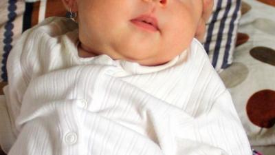 IMG_1249pdd.jpg