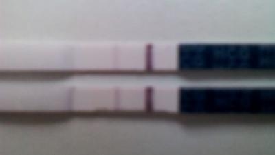 TT 12_5_2012.jpg