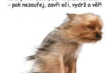 Zamyšlení nad hledáním práce