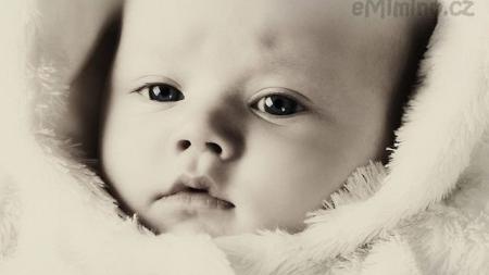 ✿ Samuelek ✿