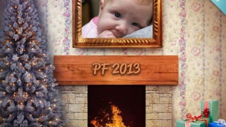 PF 2013