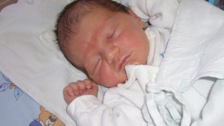 Daniel Michale