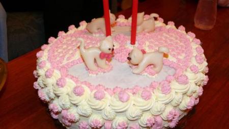 Výtvory