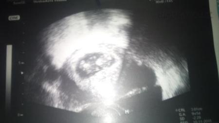 Náš cvrček :)