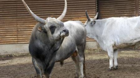 Zoopark a Dinopark
