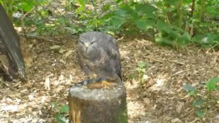 ZOO Olomouc