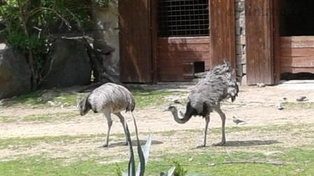 ZOO Jihlava