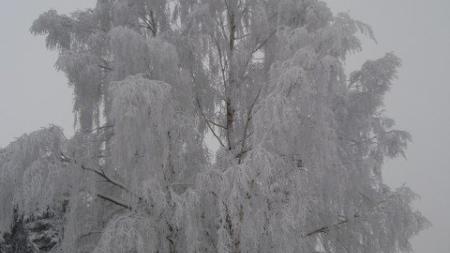 NOVÝ ROK 2011