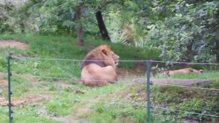 ZOO PLZEŇ