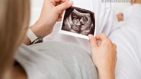 Co mě ještě čeká?