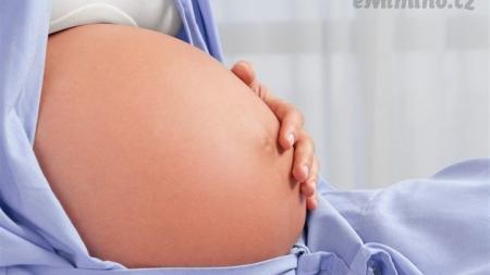 Kterak přišel Mikeš na svět