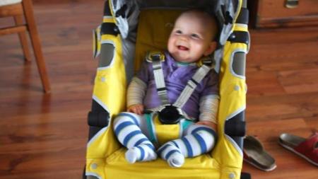 nuna buggy