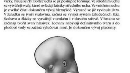 GRAFíKY TEPLOTEK
