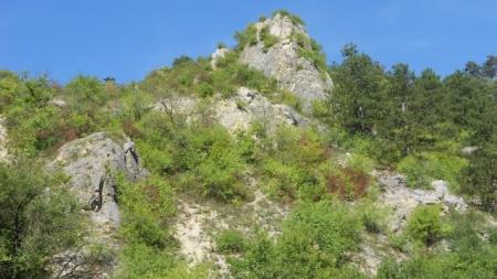 Mikulov