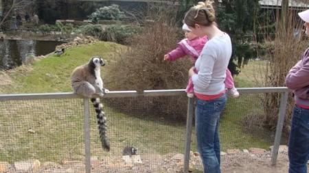 výlet do Zoo Praha