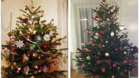 Živý, nebo umělý? S koulemi, nebo bez?