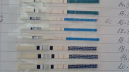 Náš zázrak