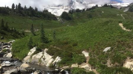 Cestování s batoletem - USA