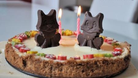 Čokoládový cheesecake