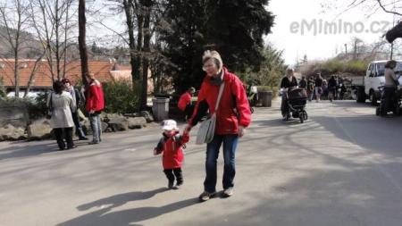 V ZOO