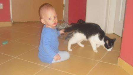 1rok-2roky