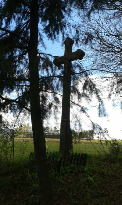 20170502_155259.jpg