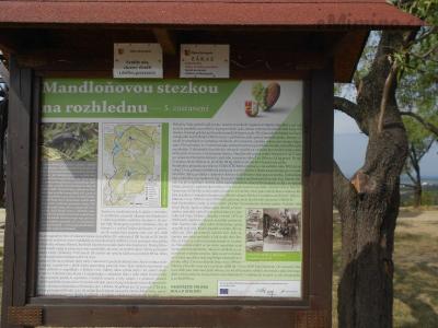 DSCN0599.JPG