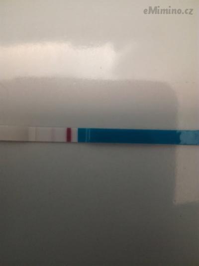 IMG_20170806_093304.jpg
