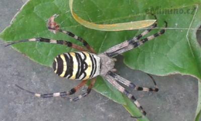 20170908_172555.jpg