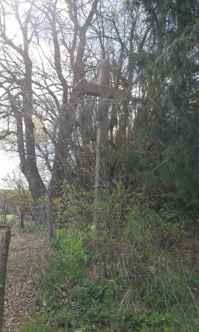 20170502_155322.jpg